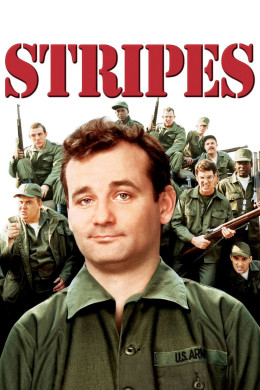 Stripes 1981