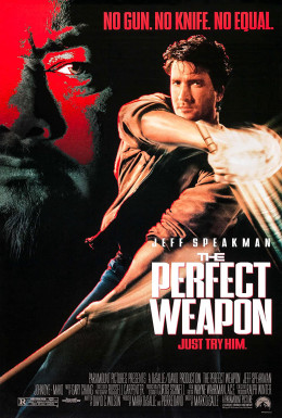 The Perfect Weapon 1991