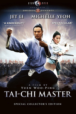 Tai Chi Master 1993