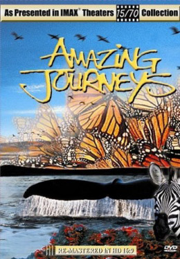 Amazing Journeys 1999