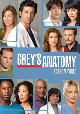 Grey's Anatomy (Season 3)