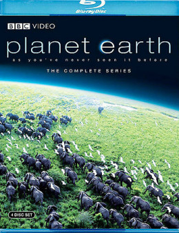 Planet Earth 2007