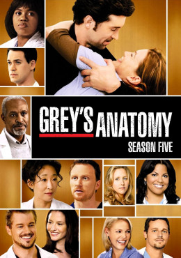 Grey's Anatomy (Season 5)