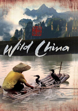 Wild China 2008