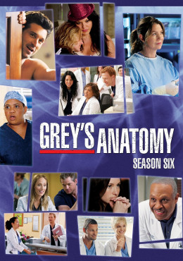 Grey's Anatomy (Season 6) 2009