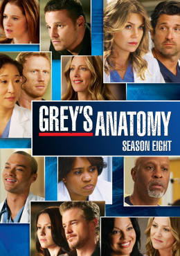 Grey's Anatomy (Season 8)