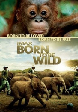 Born to Be Wild