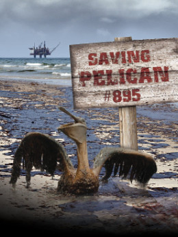 Saving Pelican 895 2011