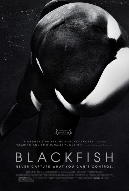 Blackfish 2013