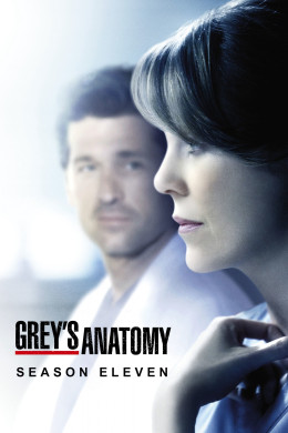 Grey's Anatomy (Season 11)