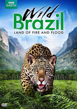 Wild Brazil