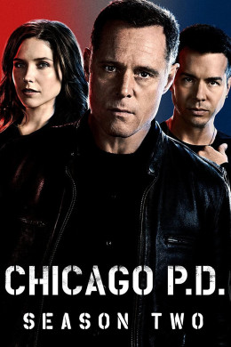 Chicago P.D. (Season 2)