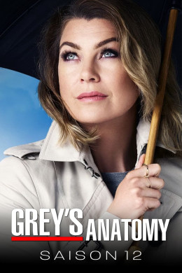 Grey's Anatomy (Season 12) 2015