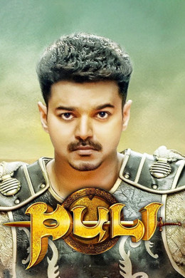 Puli