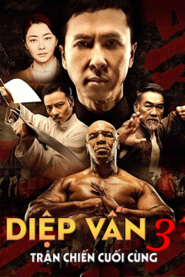 Ip Man 3 2015