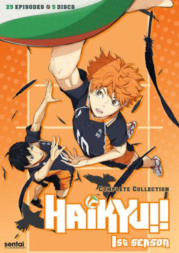 Haikyu!! (Season 1) 2015