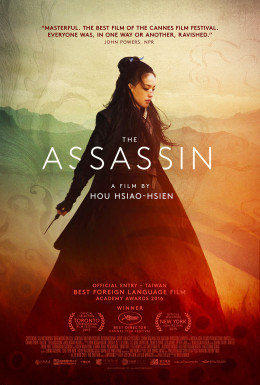 The Assassin 2015