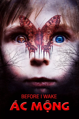 Before I Wake 2017