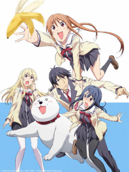 Aho Girl 2017