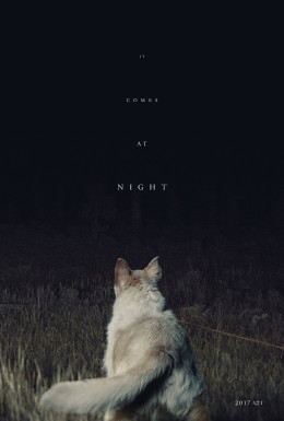 It Comes At Night 2017