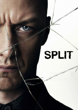 Split 2017