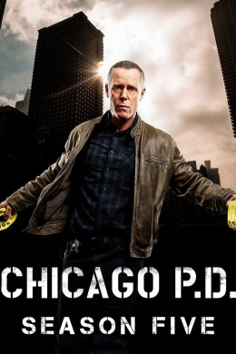 Chicago P.D. (Season 5)