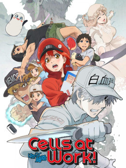 Cells at Work! 2018