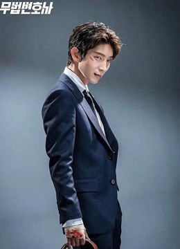 Lawless Lawyer