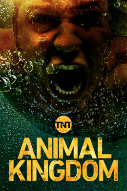 Animal Kingdom (Season 3)