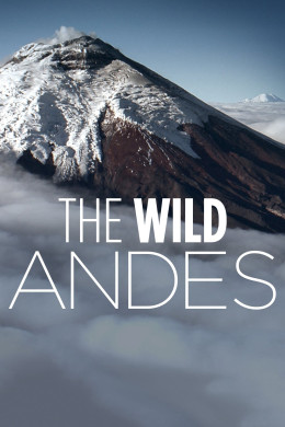 The Wild Andes 2018