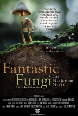 Fantastic Fungi 2019