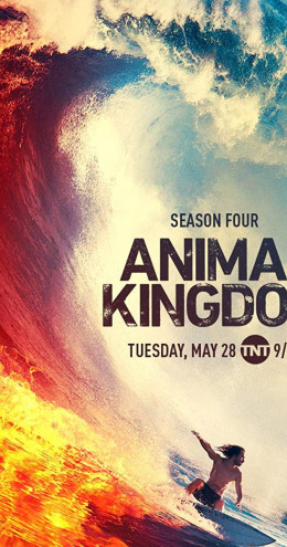 Animal Kingdom (Season 4) 2019