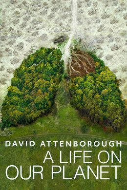 David Attenborough: A Life on Our Planet 2020