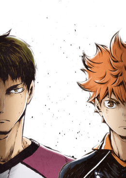 Haikyu!! (Season 3) 2020