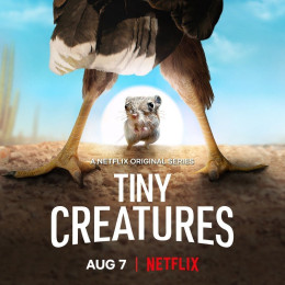 Tiny Creatures 2020