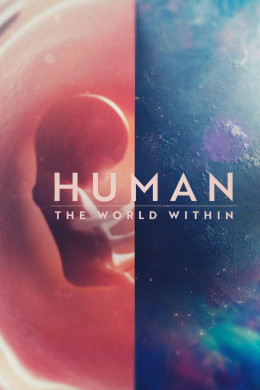 Human: The World Within 2021