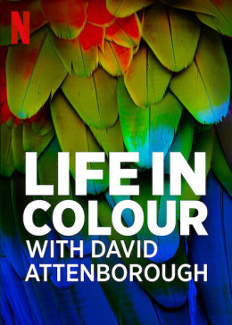 Life in Colour with David Attenborough