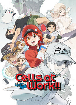 Cells at Work! S2