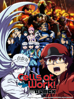 Hataraku Saibou Black