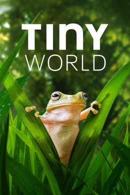 Tiny World (Season 2)