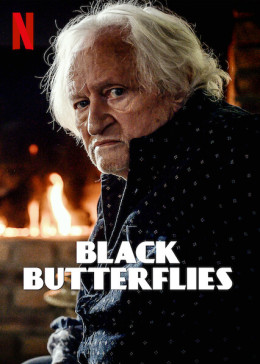 Black Butterflies 2022