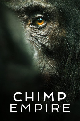 Chimp Empire