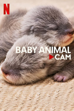 Baby Animal Cam 2023