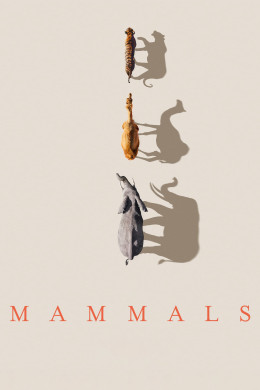 Mammals