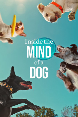 Inside the Mind of a Dog 2024