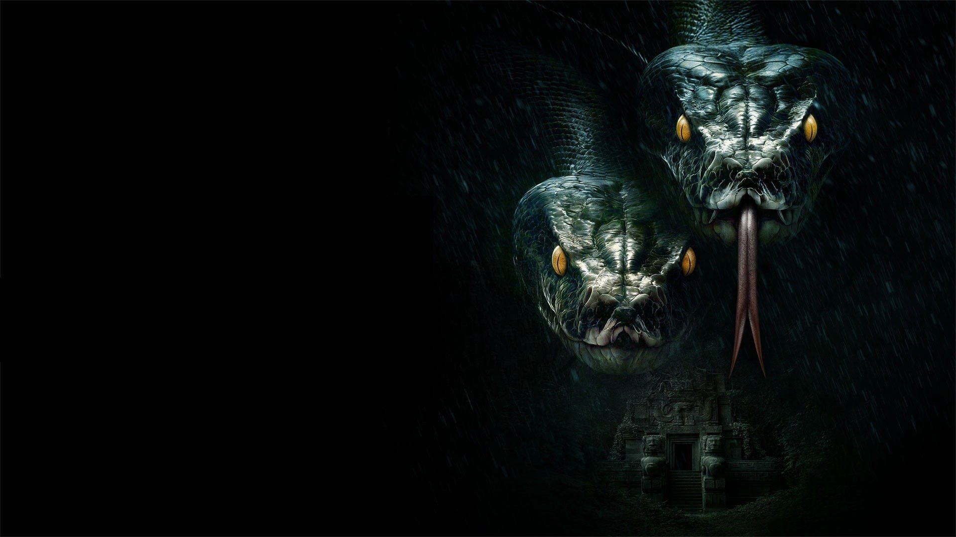 The Anacondas The Anacondas