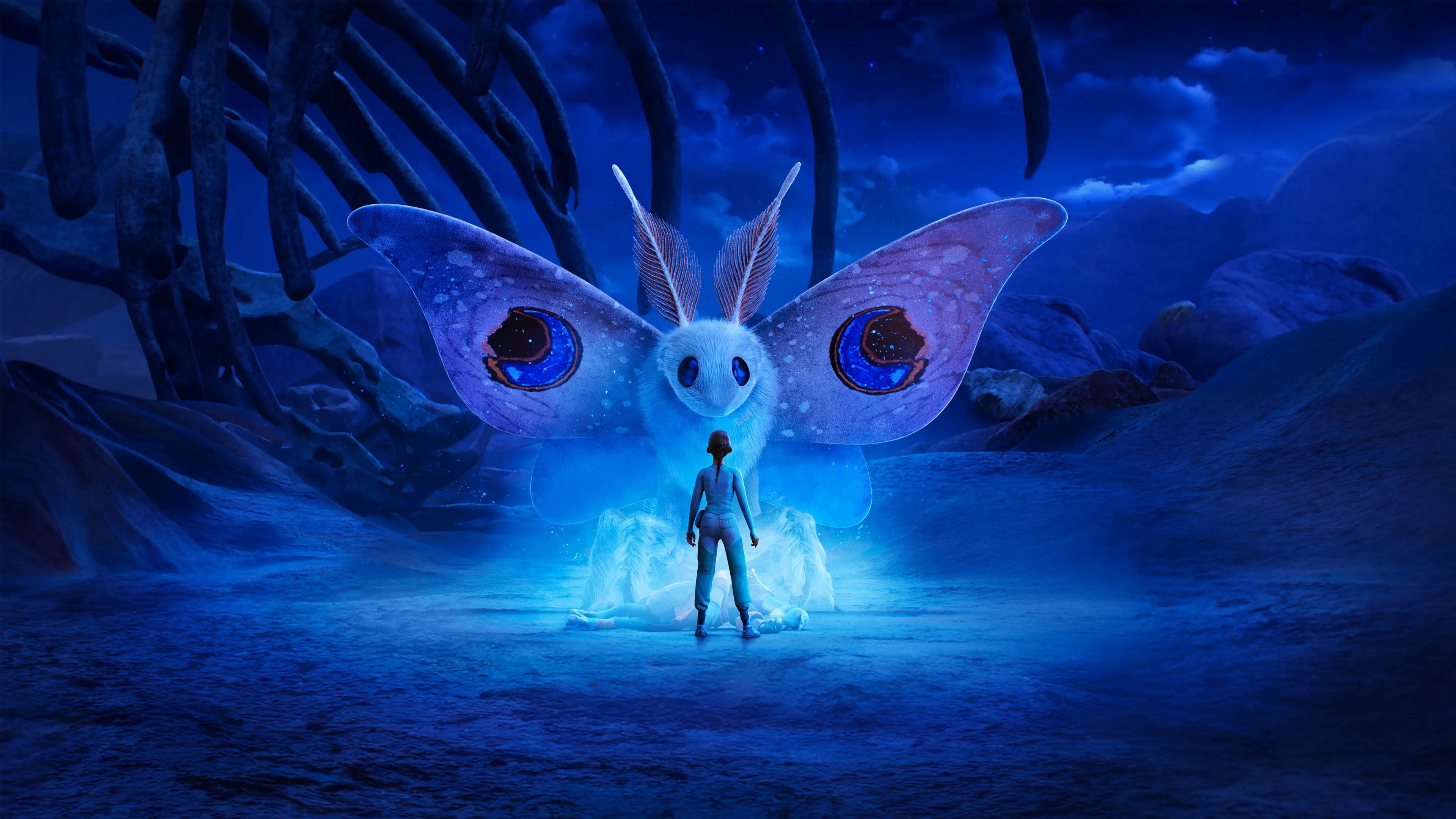 Đi Tìm Wondla - Wondla (Phần 3) Đi Tìm Wondla - Wondla (Phần 3)